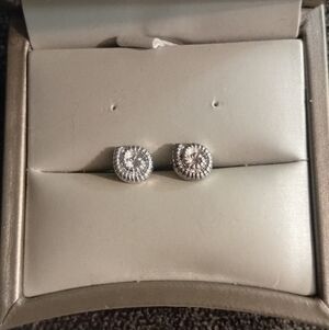 Radiant Silver Teardrop Earrings